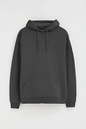 Dark-grey hoodie with Rigby Go embroidery - Image 8
