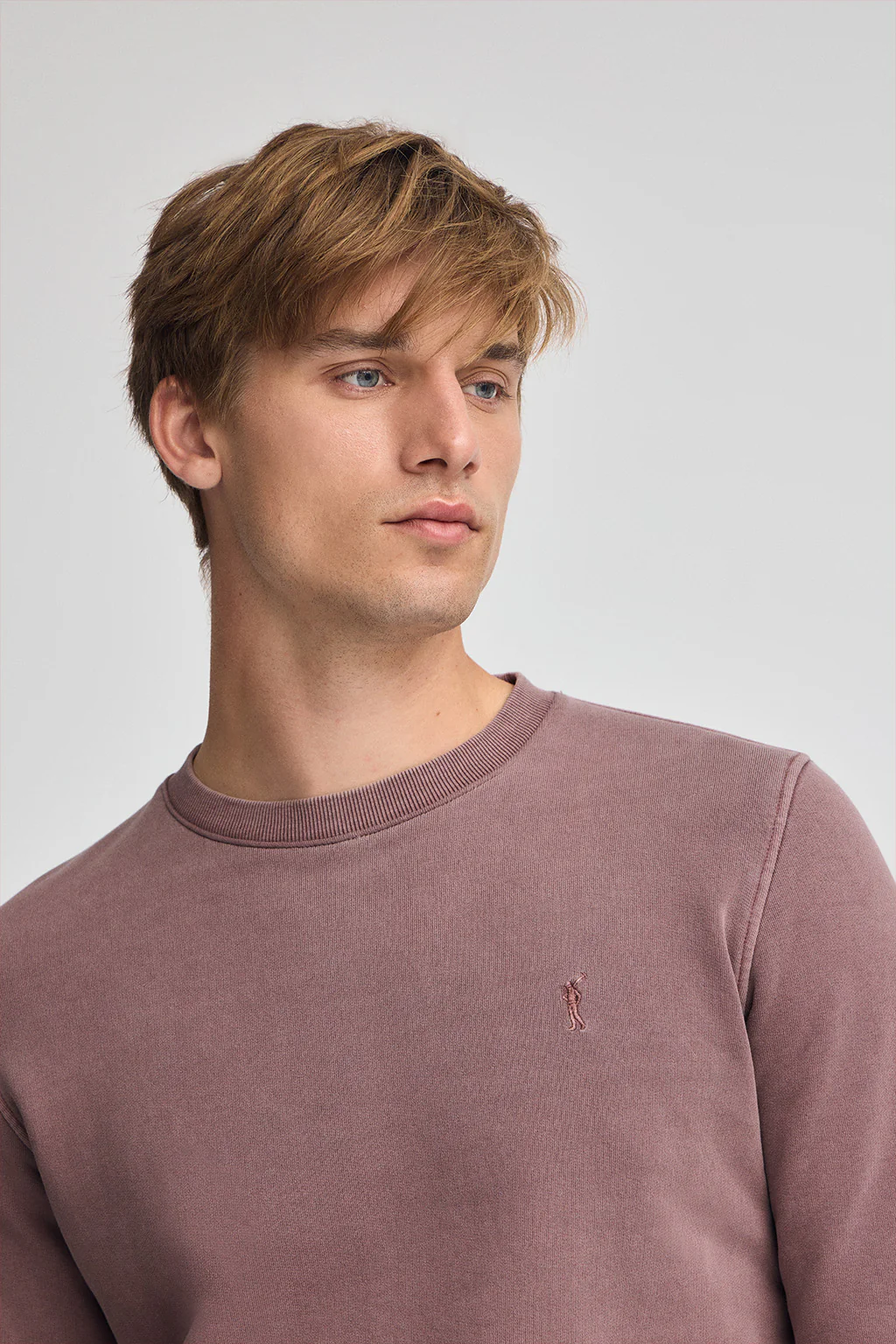 Taupe-pink washed-effect sweatshirt with Rigby Go logo