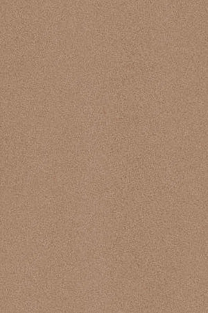 Light-brown round-neck sweatshirt with Rigby Go embroidery - Image 10