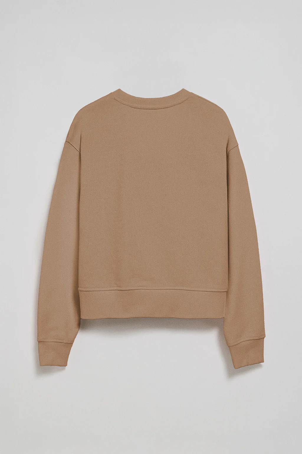 Light-brown round-neck sweatshirt with Rigby Go embroidery - Image 6