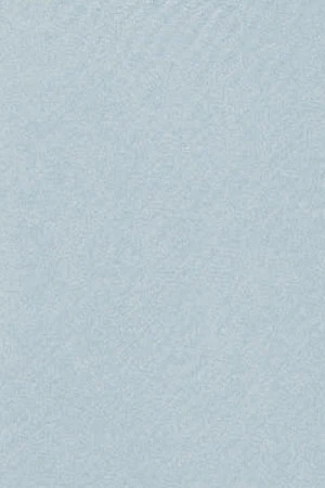 Light-blue hoodie with Rigby Go embroidered logo - Image 10