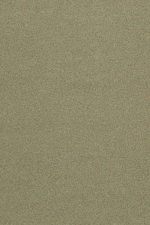 Green half-zip sweatshirt with Rigby Go logo - Image 8