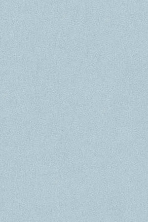 Light-blue round-neck sweatshirt with Rigby Go embroidered logo - Image 10