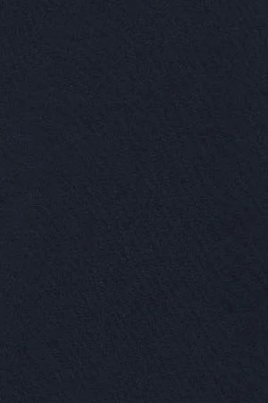 Navy-blue half-zip sweatshirt with Rigby Go embroidered logo - Image 10