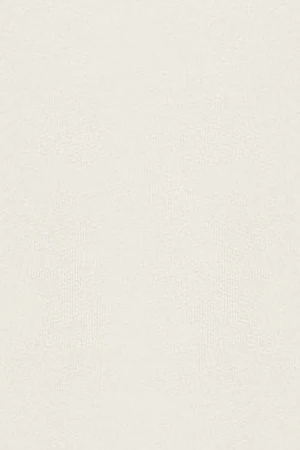 Beige Minimal Polo Club basic sweatshirt with round neck - Image 14