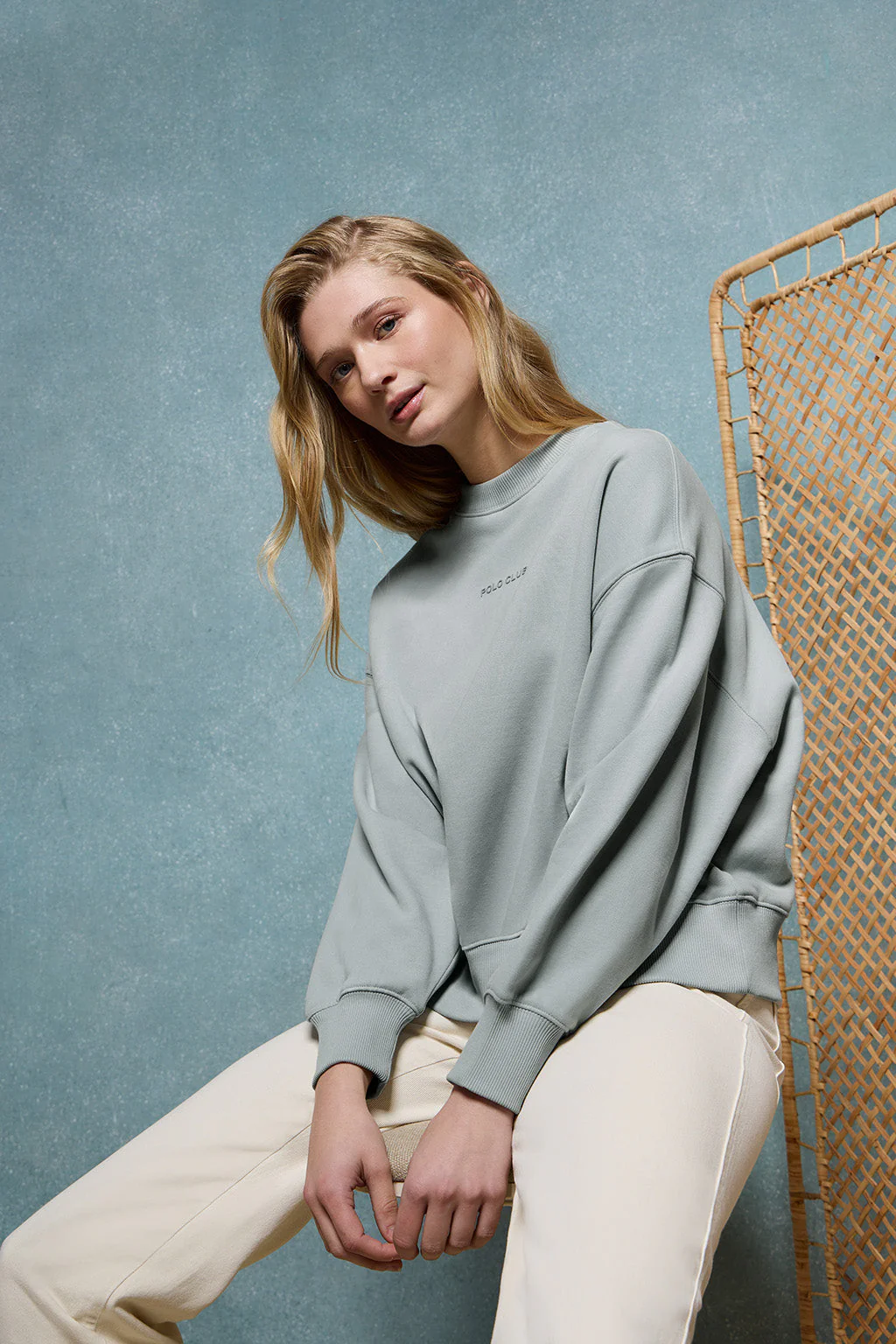 Greyish Minimal Polo Club basic sweatshirt with round neck