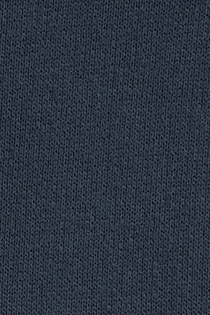 Navy-blue relaxed-fit sweatshirt with Polo Club logo - Image 10