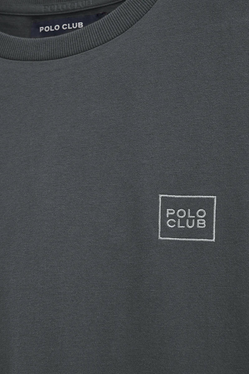 Stone-grey straight-fit T-shirt with Polo Club patch - Image 2