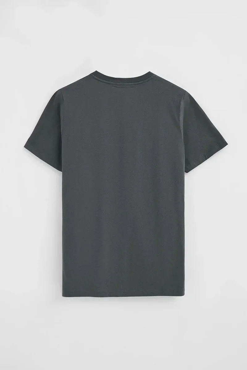 Stone-grey straight-fit T-shirt with Polo Club patch - Image 3