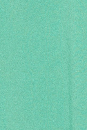 Aqua round-neck T-shirt with Rigby Go rubber embroidery - Image 9