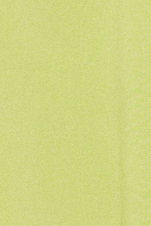 Lime-green round-neck T-shirt with Rigby Go rubber embroidery - Image 9