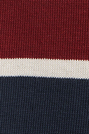 Striped T-shirt Carter in navy blue and maroon with Polo Club branded patch - Image 9