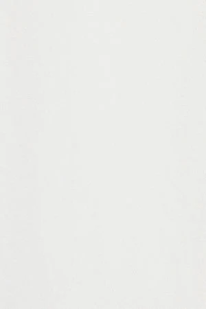 White short-sleeve regular-fit T-shirt with Polo Club embroidery - Image 11