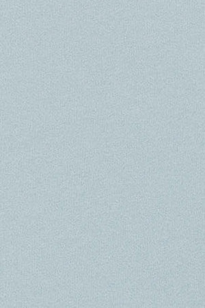 Light-blue T-shirt Diamond with Polo Club foil print - Image 9