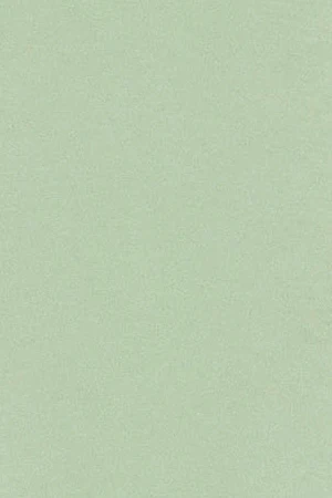 Mint basic T-shirt with Polo Club rubber logo - Image 10