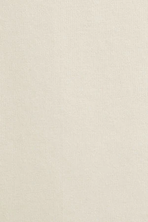 Cream short-sleeve T-shirt with Polo Club rhinestones - Image 11