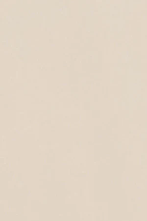 Beige round-neck short-sleeve tee with Polo Club logo - Image 10