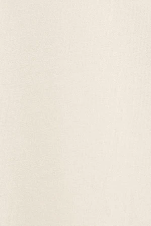 Nude short-sleeve T-shirt with straight fit and Polo Club rubberised logo - Image 11