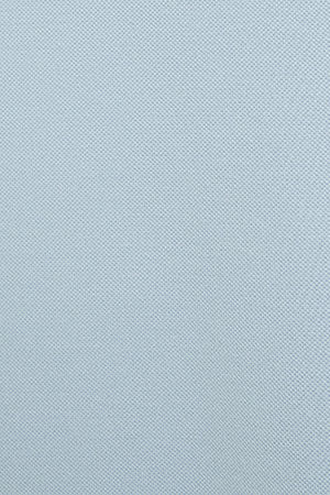 Light-blue short-sleeve T-shirt with Polo Club nautical logo - Image 11