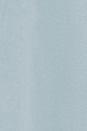 Light-blue V-neck T-shirt with Rigby Best embroidery - Image 10
