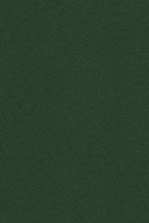 Bottle-green round-neck T-shirt with Rigby Go embroidery - Image 10