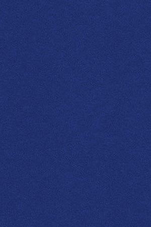 Royal-blue round-neck T-shirt with Rigby Go embroidery - Image 10