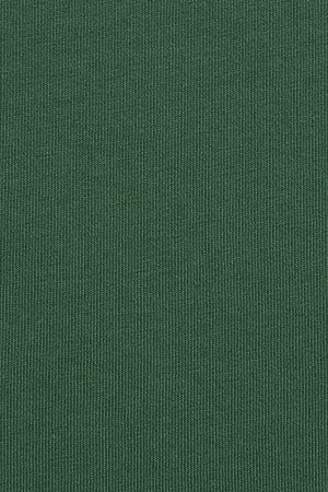 Bottle-green short-sleeve T-shirt with Rigby Go embroidery - Image 11