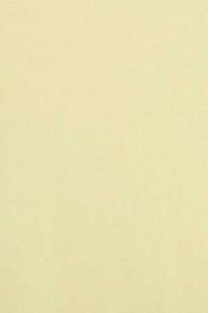Light-yellow short-sleeve T-shirt with Rigby Go embroidery - Image 6