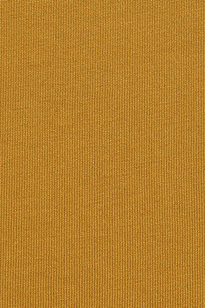Mustard short-sleeve T-shirt with Rigby Go embroidery - Image 10