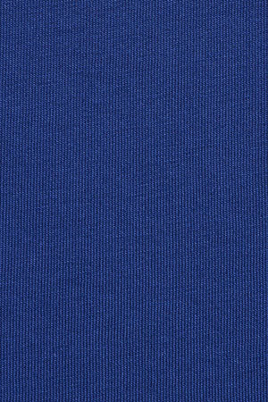 Royal-blue short-sleeve T-shirt with Rigby Go embroidery - Image 10