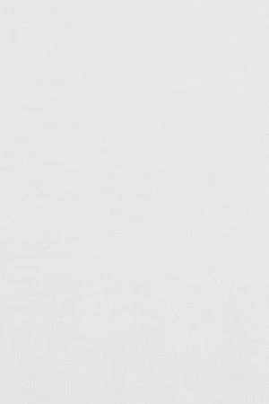White short-sleeve T-shirt with Rigby Go embroidery - Image 12
