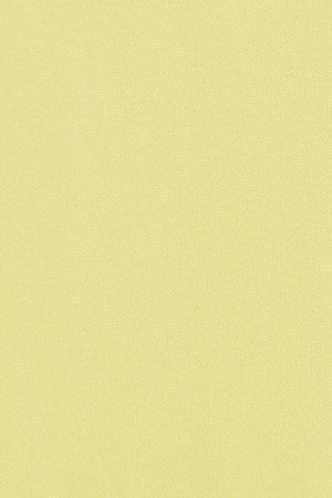 Light-yellow short-sleeve round-neck T-shirt with Rigby Go embroidery - Image 11
