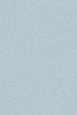 Light-blue round-neck T-shirt with Rigby Go embroidery - Image 9