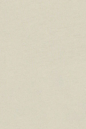 Nude round-neck T-shirt with Rigby Go embroidery - Image 10