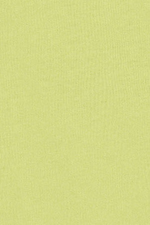 Lime-green round-neck T-shirt with Rigby Go embroidery - Image 10