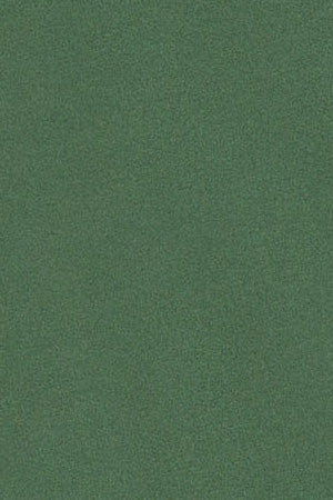 Green long-sleeve basic T-shirt with Rigby Go logo - Image 10