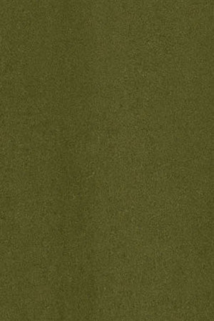 Khaki round-neck short-sleeve tee with Polo Club logo - Image 10