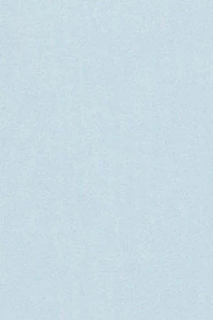 Light-blue tank top with Rigby Go embroidery - Image 10