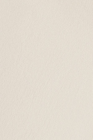 Ecru slim-fit chinos with Polo Club detail - Image 10