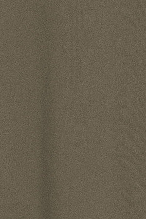 Army-green garment-dyed T-shirt Apolo with velvety Polo Club logo - Image 10