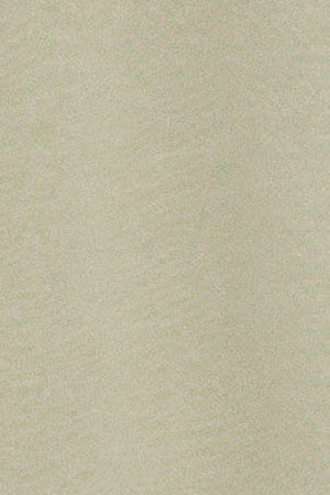 Stone garment-dyed T-shirt Apolo with velvety Polo Club logo - Image 10