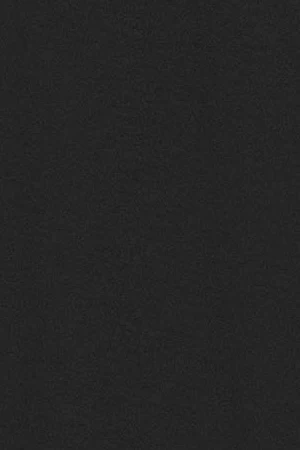 Black long-sleeve T-shirt with Rigby Go embroidered logo - Image 10