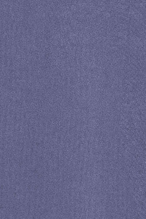 Ocean-blue garment-dyed tee with round neck and Polo Club rubber logo - Image 10