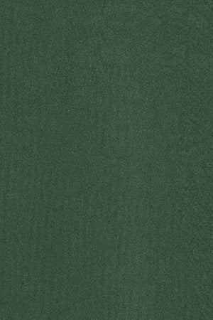 Green garment-dyed tee with round neck and Polo Club rubber logo - Image 10