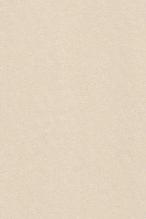 Nude round-neck long-sleeve T-shirt with Polo Club detail - Image 10