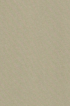 Stone-grey round-neck long-sleeve T-shirt with Polo Club detail - Image 6